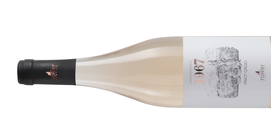 Pinot Grigio web2